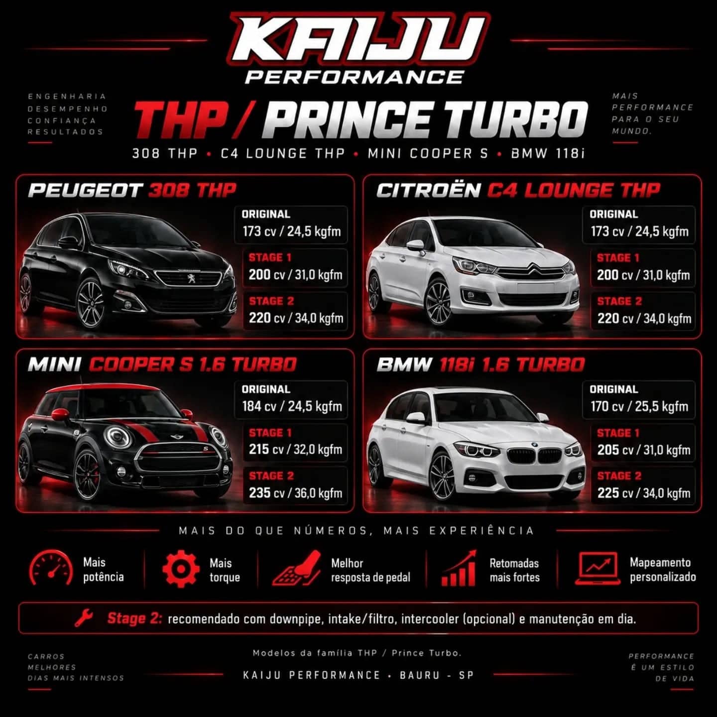 Arte técnica da Kaiju Performance: família Prince turbo